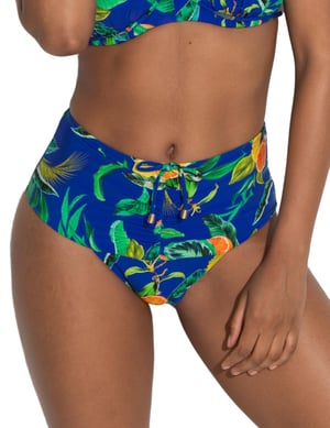 24905 Pour Moi Santa Cruz High Waist Bikini Brief