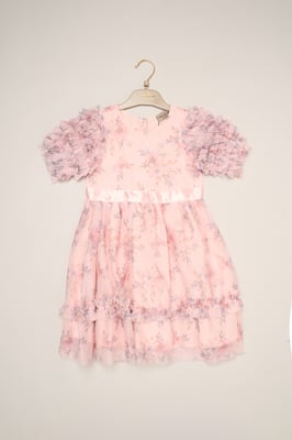 Floral Mesh Dress with Ruffle Sleeves