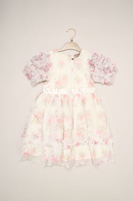 Floral Mesh Dress with Ruffle Sleeves