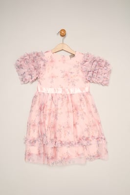 Floral Mesh Dress with Ruffle Sleeves