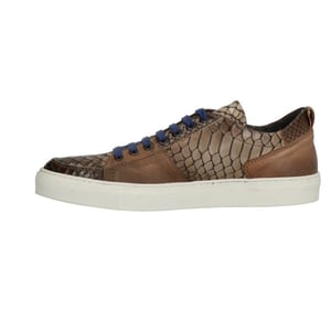 Lorenzi 5879