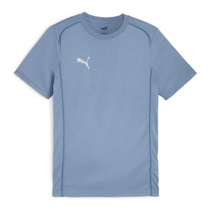 Puma Heren TeamFinal T-Shirt (Blauw)