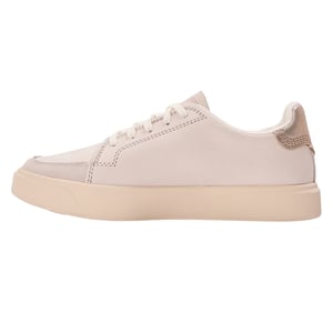 Timberland Dames/Dames Leren Trainers (Wit)