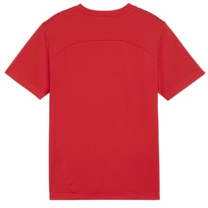Puma Kinderen/Kinderen TeamFinal Performance T-shirt (Rood)
