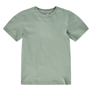Farah Geborduurd uniseks Adult Denny Logo Jersey T-shirt (Groen)