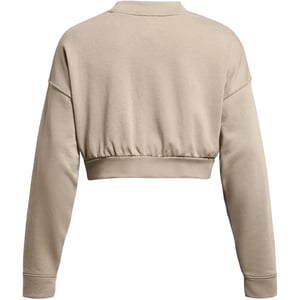 Under Armour Dames Rival cropped sweatshirt met ronde hals van badstof (Bruin)