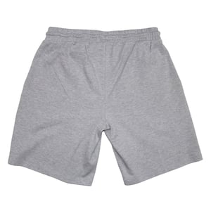 Aquascutum Casual Korte Broeken voor Volwassenen (Grijs)