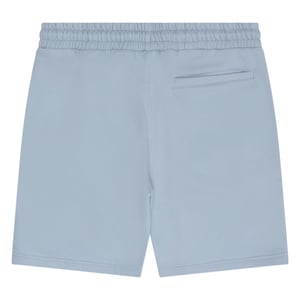 Ellesse Heren Fleece Sweat Shorts (Lichtgrijs)