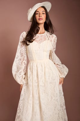 Lisa Tan Sleeve Embroidered Organza Midi Dress