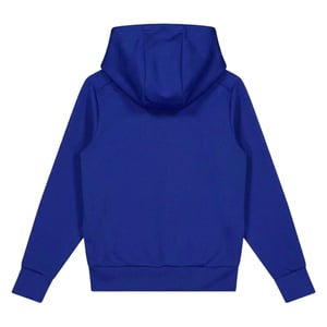 Castore Heren Scuba Hoodie (Blauw)