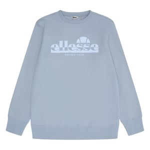 Ellesse Sweatshirt för herrar (Ljusgrå)