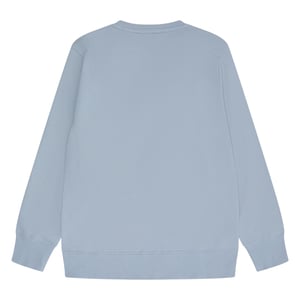 Ellesse Sweatshirt för herrar (Ljusgrå)