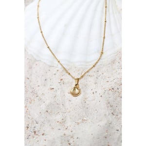 Label Kiki We shell sea necklace gold