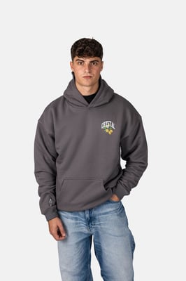 Crystal Paris Oversized hoodie Polo Club