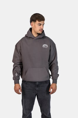 Crystal Paris Oversized hoodie Nightwolf
