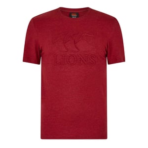 Canterbury Mens Monument 2025 British & Irish Lions T-Shirt (Red Dahlia)