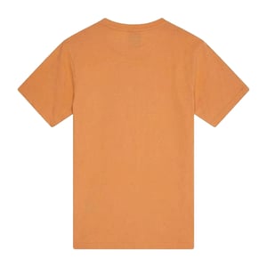 Ellesse Herr Blakeney Grafisk Tryck Logotyp T-shirt (Orange)