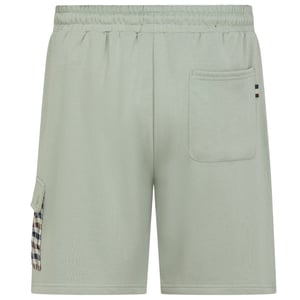 Aquascutum Active Lamina Pocket Salvia Light Green Shorts