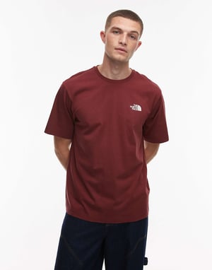 The North Face Mountain Sketch Mens Pink T-Shirt