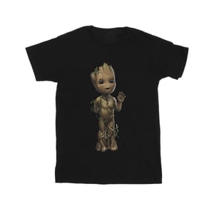 Marvel Jongens Ik Ben Groot Golf Positie T-Shirt (Zwart)