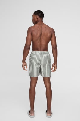 Mid Length Stripe Swim Short