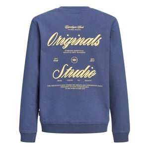 Jack & Jones Sweat 12309118 jornorre