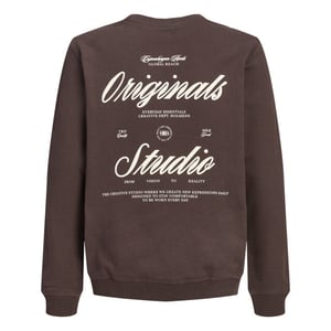 Jack & Jones Sweat 12309118 jornorre