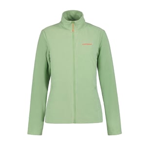 Icepeak Dames/Dames Berwick Full Zip Fleecejack (Groen)