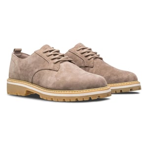 Men's CLAE Adults Low Top Trainers in Cashmere Suede