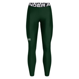 Under Armour Dames/dames HeatGear Leggings (Groen)