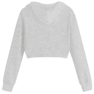 Miso Enfärgad kort hoodie för kvinnor/damer (Grått)