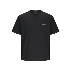 Jack & Jones Jorlucca tee ss crew neck ciff ln