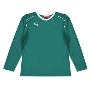 Puma Performance keepershirt met lange mouwen voor kinderen/Kinderen (Groen)