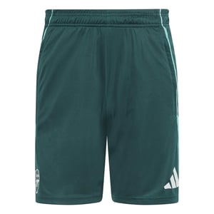 Men's adidas Afc Tr Sho in Aurivy