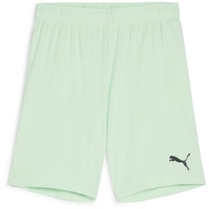 Boys Puma Teamgoal Shorts Jr Football Short Unisex Kids in FreshMint-Black