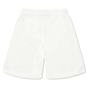 Boys Puma Fb Team Shorts With Brief Juniors in .White
