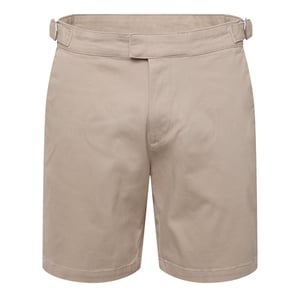 Men's Duck and Cover Everett Chino Shorts in Stone