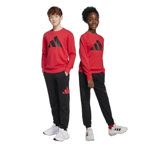 Boys adidas Juniors Essentials Joggers Set in pure ruby