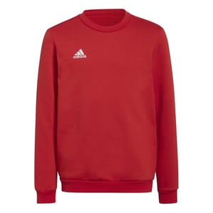 Boys adidas Ent22 Sweater Juniors in Red