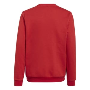 Boys adidas Ent22 Sweater Juniors in Red