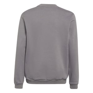 Boys adidas Kids Crew Neck Ribbed Collar Long Sleeve Sweatshirt in Grey Four