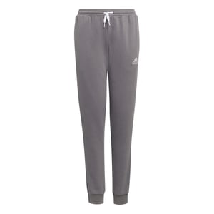 Boys adidas Ent22 Jogging Pants Juniors in Grey