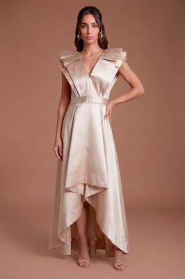 Frill Sleeve V Neck Midi Dress