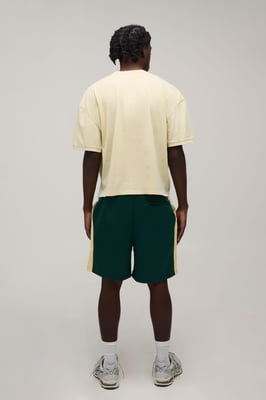 Regular Fit Stripe Tricot Jersey Shorts
