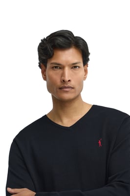 Men's V-Neck Sweater PULLOVER11