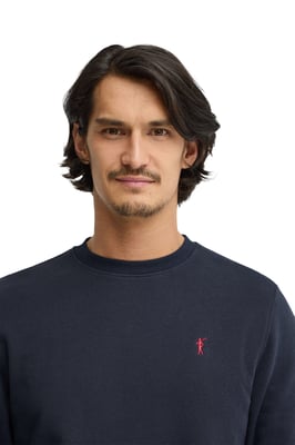 Men's Crew Neck Relaxed Fit Sweatshirt SWEATSHIRT27