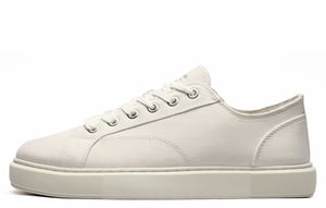 Jack & Jones Aspire Mens Canvas Trainers