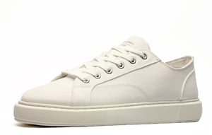 Jack & Jones Aspire Mens Canvas Trainers