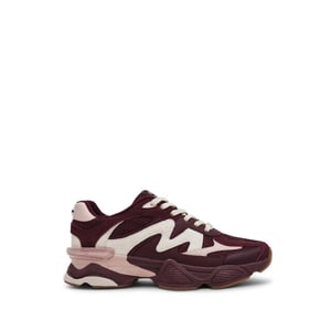 Steve Madden Speeder sneakers