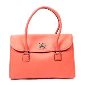 Alamo 36 Shoulder Bag
